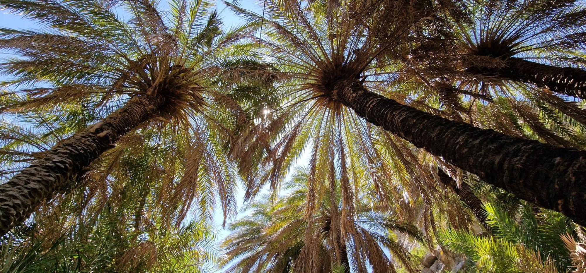 Villa Erofili Plakias South Rethimno Crete Asomatoi 外观 照片